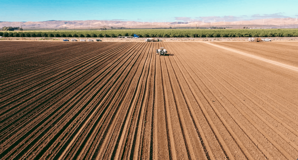 Terpene Belt Farms - Field