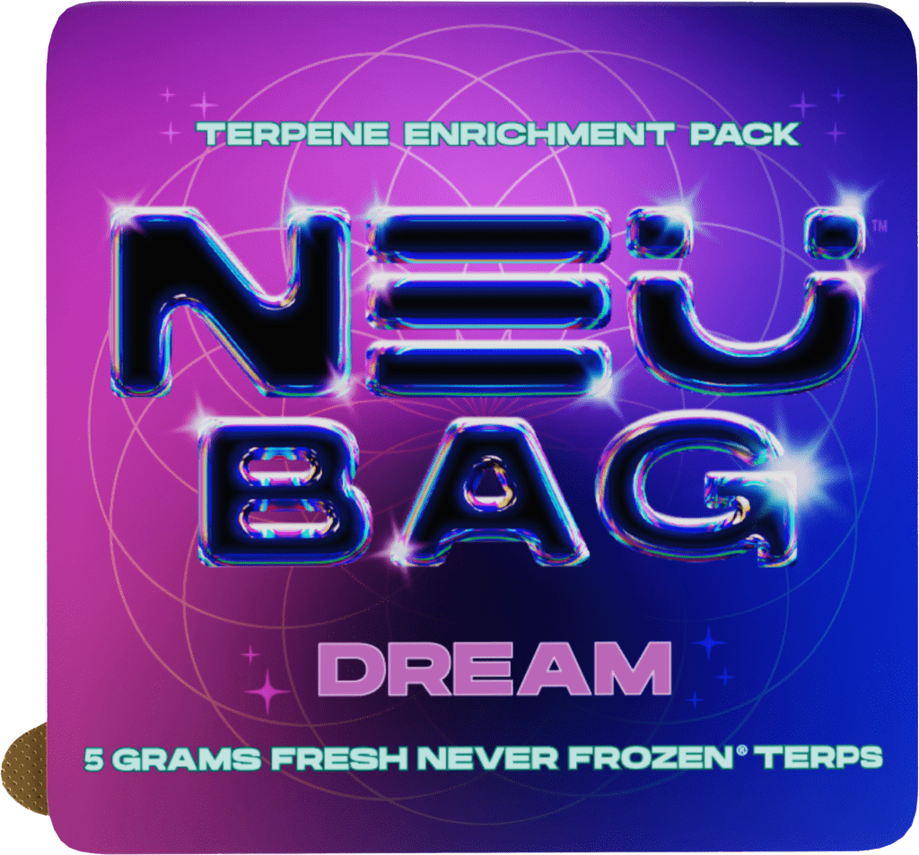 dream neu bag