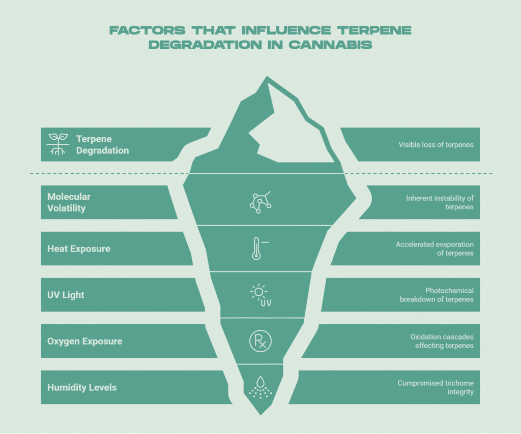 Why Terpenes Degrade Over Time - visual selection