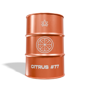 Citrus #77 Terpenes Oil