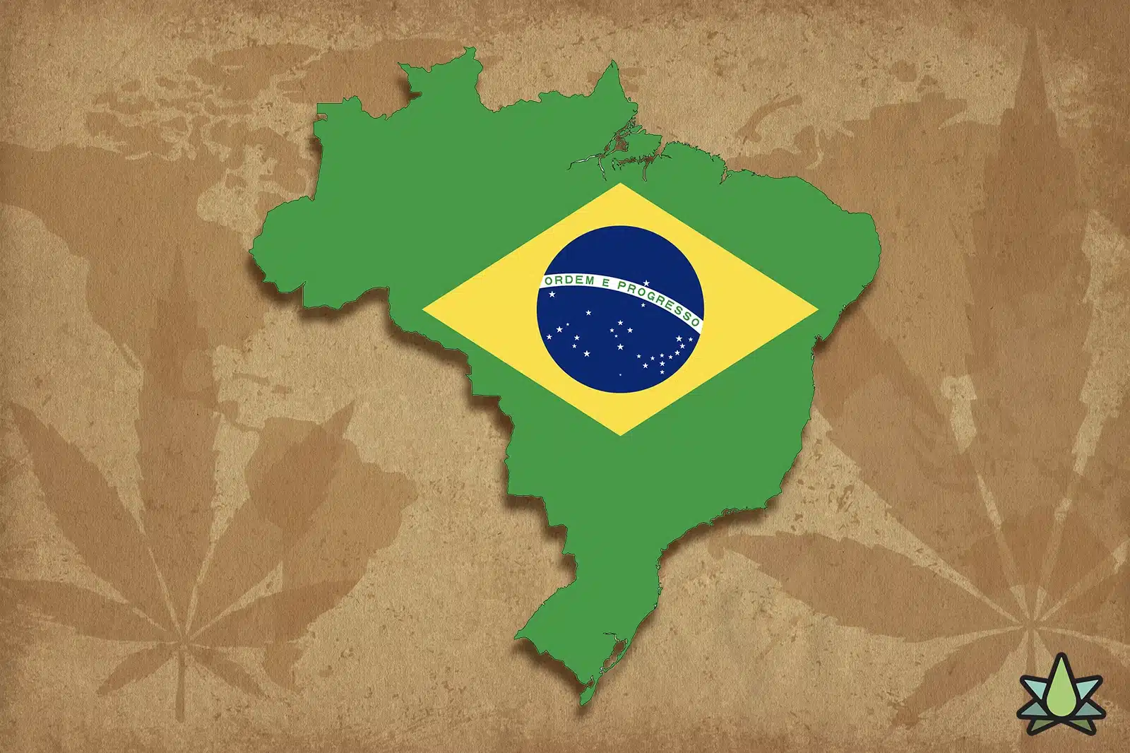 Buy Terpenes in Brazil - Featured Image
