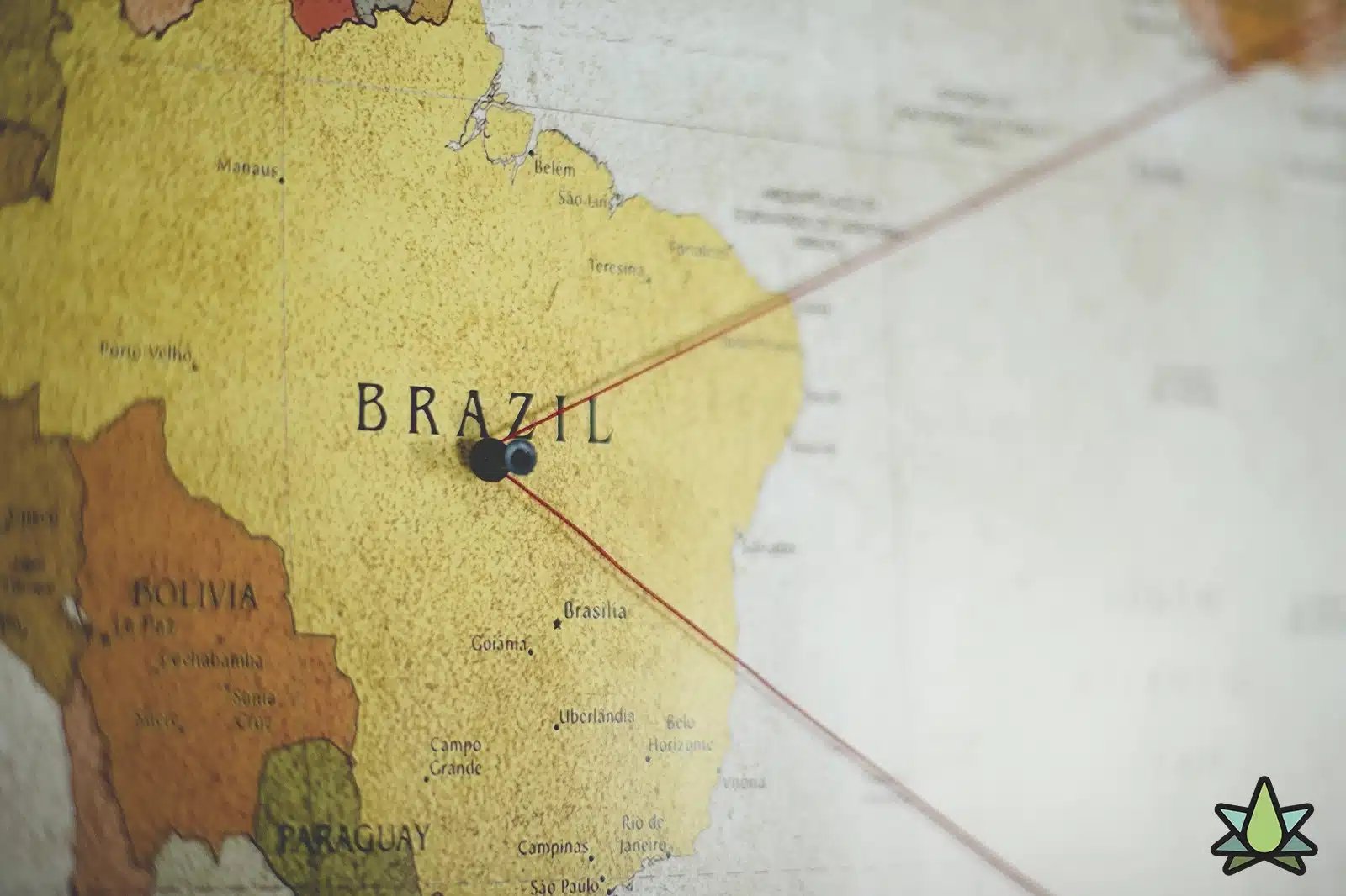 Buy Terpenes in Brazil - Supporting Image