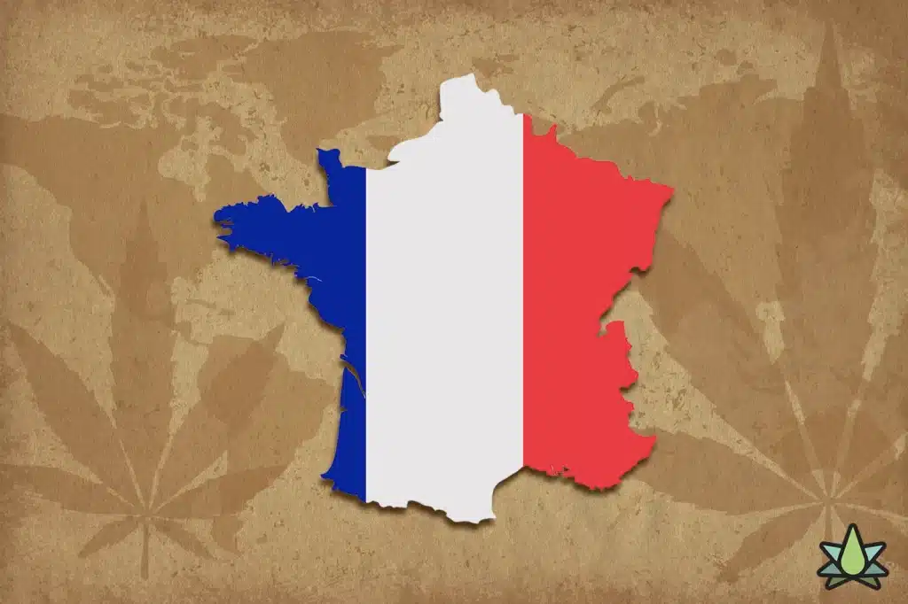 Buy Terpenes in France – Complete Guide for Cannabis Formulations