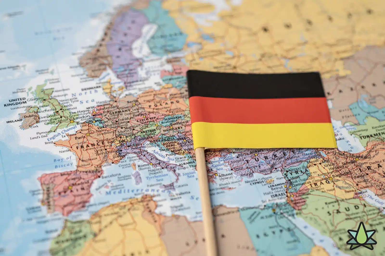 Buy Terpenes in Germany - Supporting Image