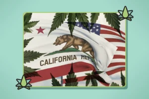 The California State flag and hemp leaves