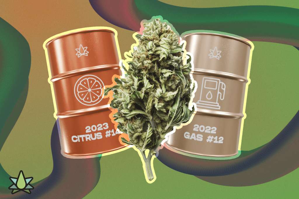 Marijuana nug in front of terpene cans from Terpene Belt Farms