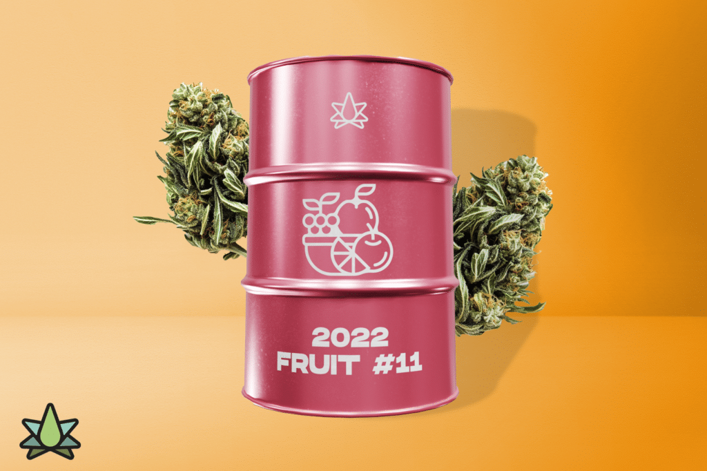 A 2022 Fruit #11 can set with two cannabis buds against an orange-colored background