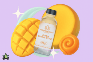 Some mango slice with a bottle of Terpene Belt Farms 2023 CITRUS #142 is placed against a purple background
