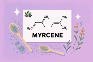 Illustration of myrcene's chemical structure with herbs, seeds, and wooden spoons on a purple background.