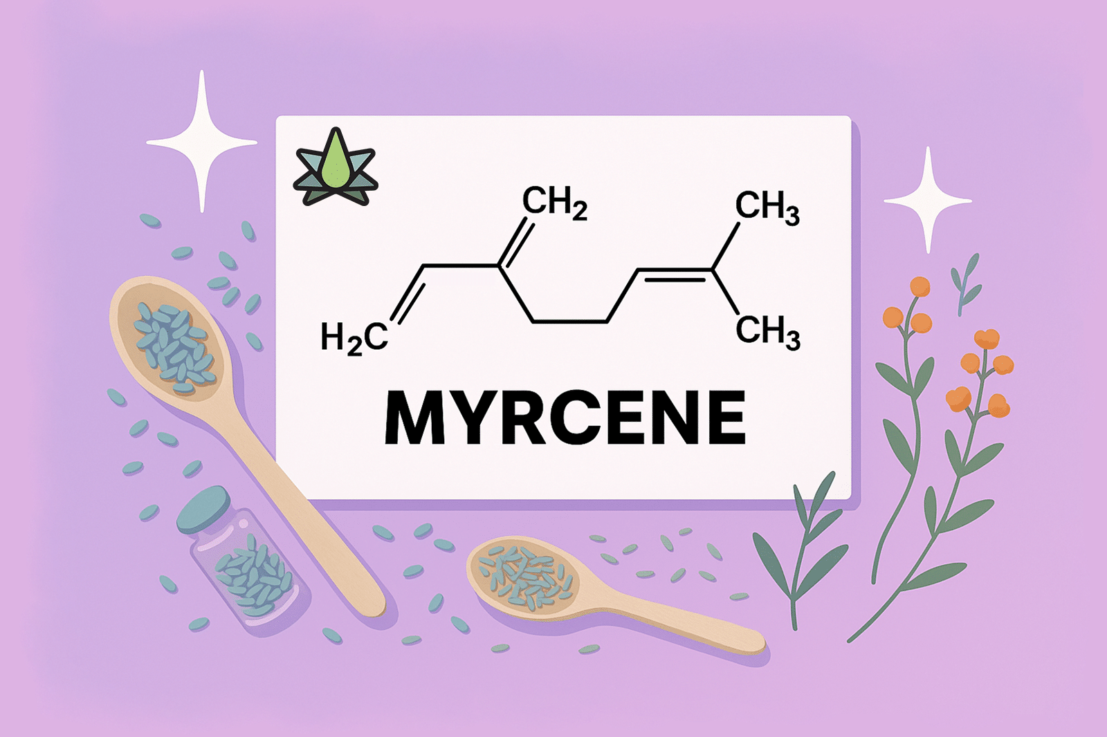 Illustration of myrcene's chemical structure with herbs, seeds, and wooden spoons on a purple background.