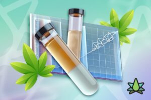Animation of vials with terpene oil on a colorful background
