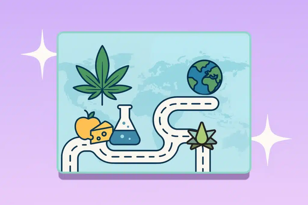 Illustration on a purple background shows a winding road with icons: a Terpene leaf, Earth, apple, cheese, lab flask, conveying innovation and global connection.
