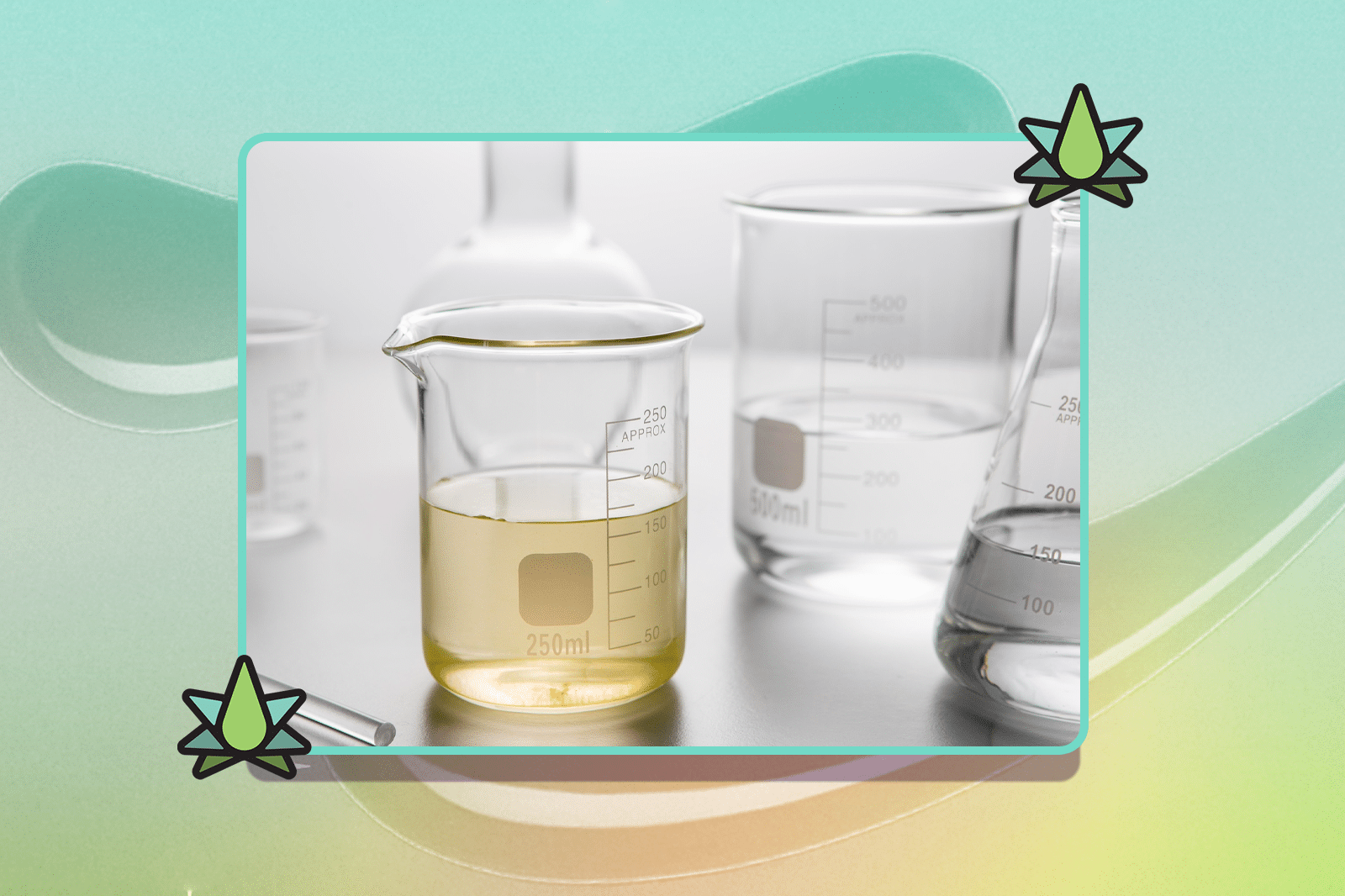 Two glass beakers, one filled with a clear terpene liquid and the other with a yellow one, sit on a lab table