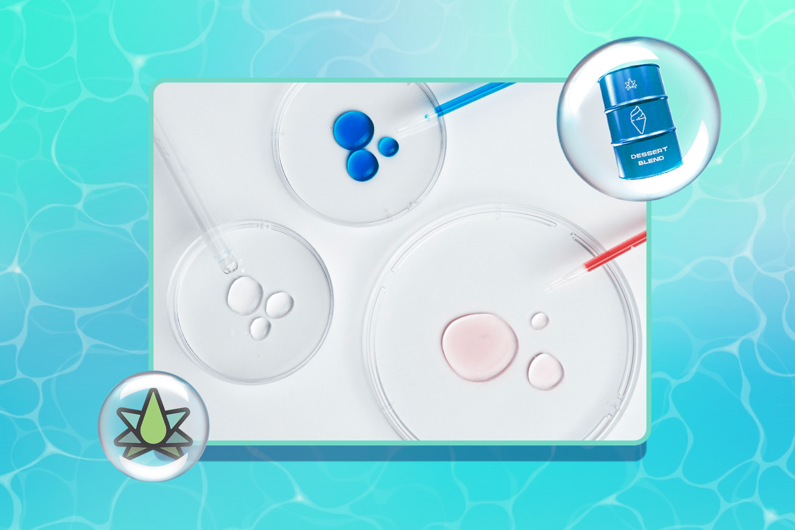 Laboratory petri dishes with blue, white, and pink samples, pipettes, and product icons on turquoise water bubble background