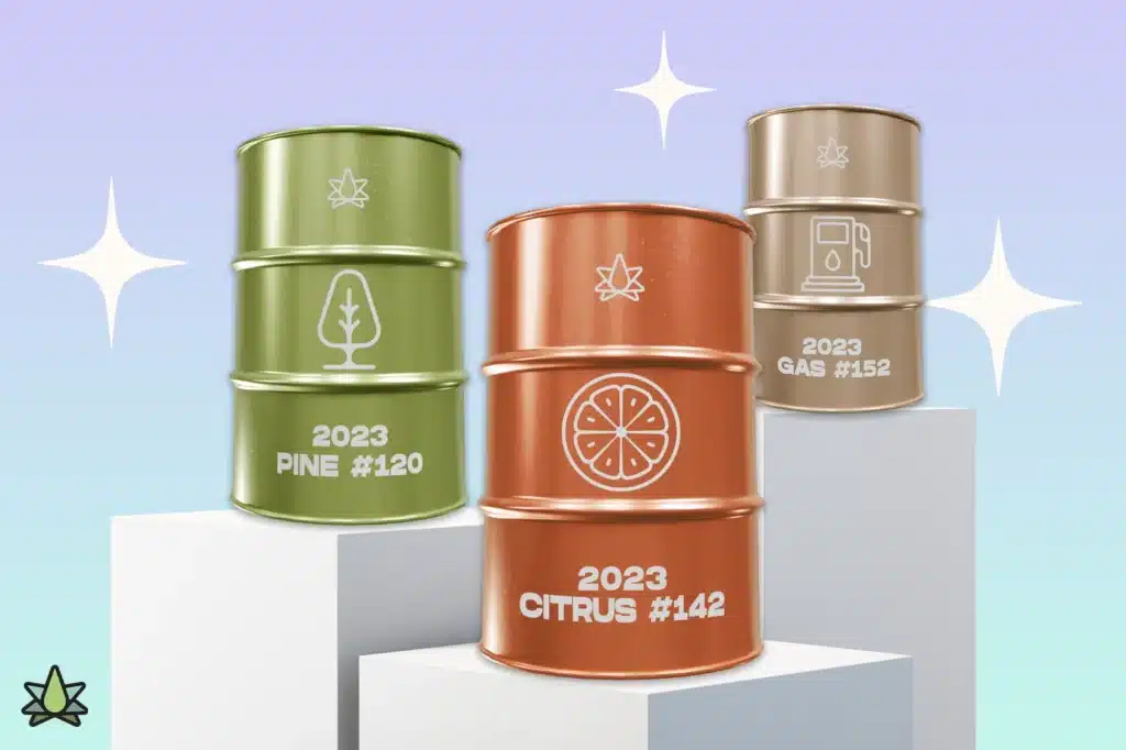 Three terpenes barrel 2023 Pine (#120), Citrus (#142), and Gas (#152) were placed on three podiums
