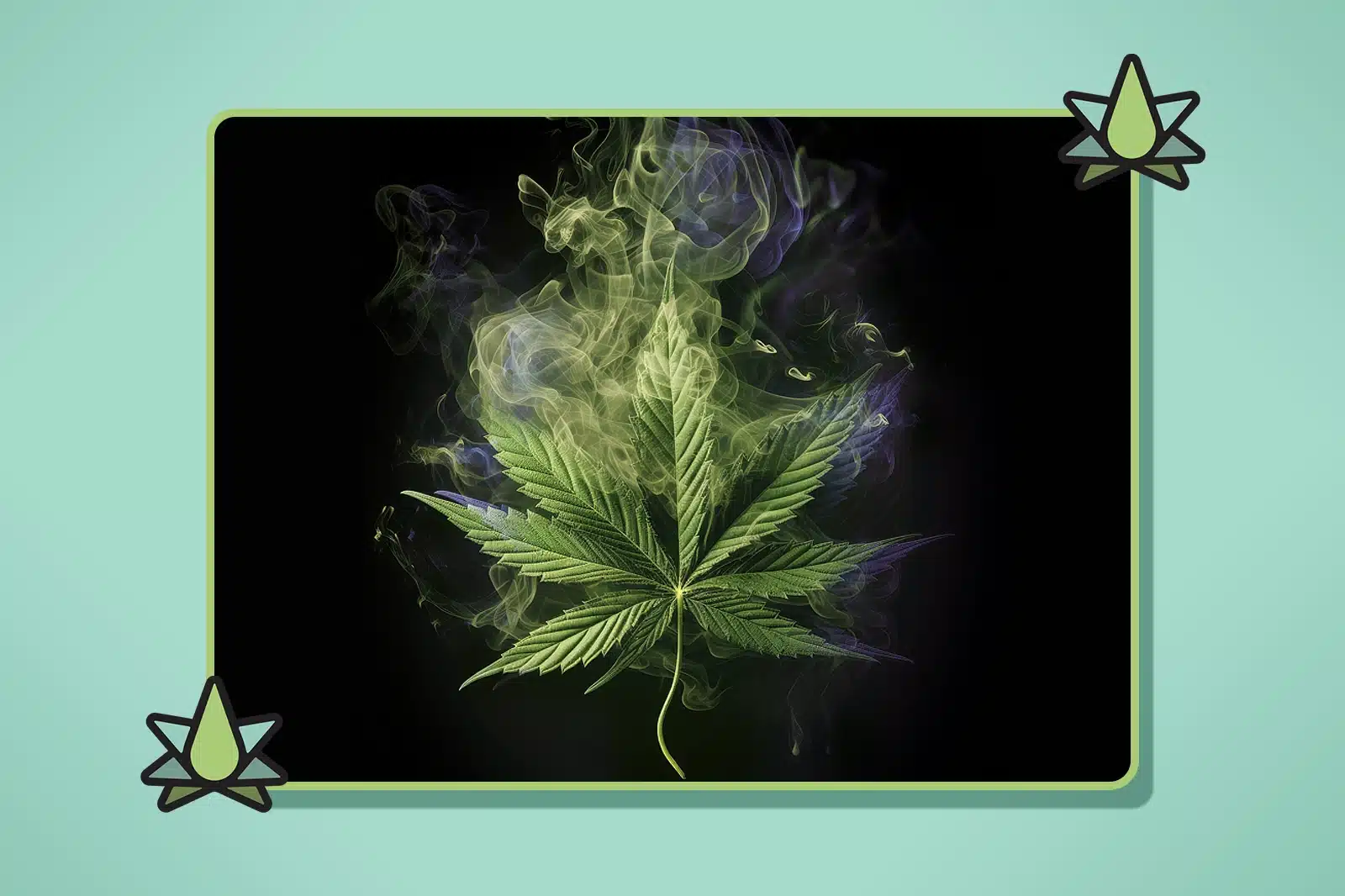 Marijuana leaf