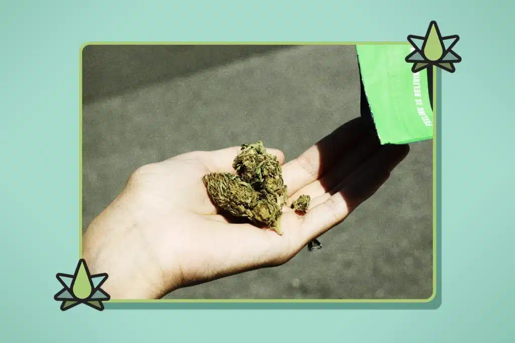 A hand holds Terpene Cannabis buds outdoors