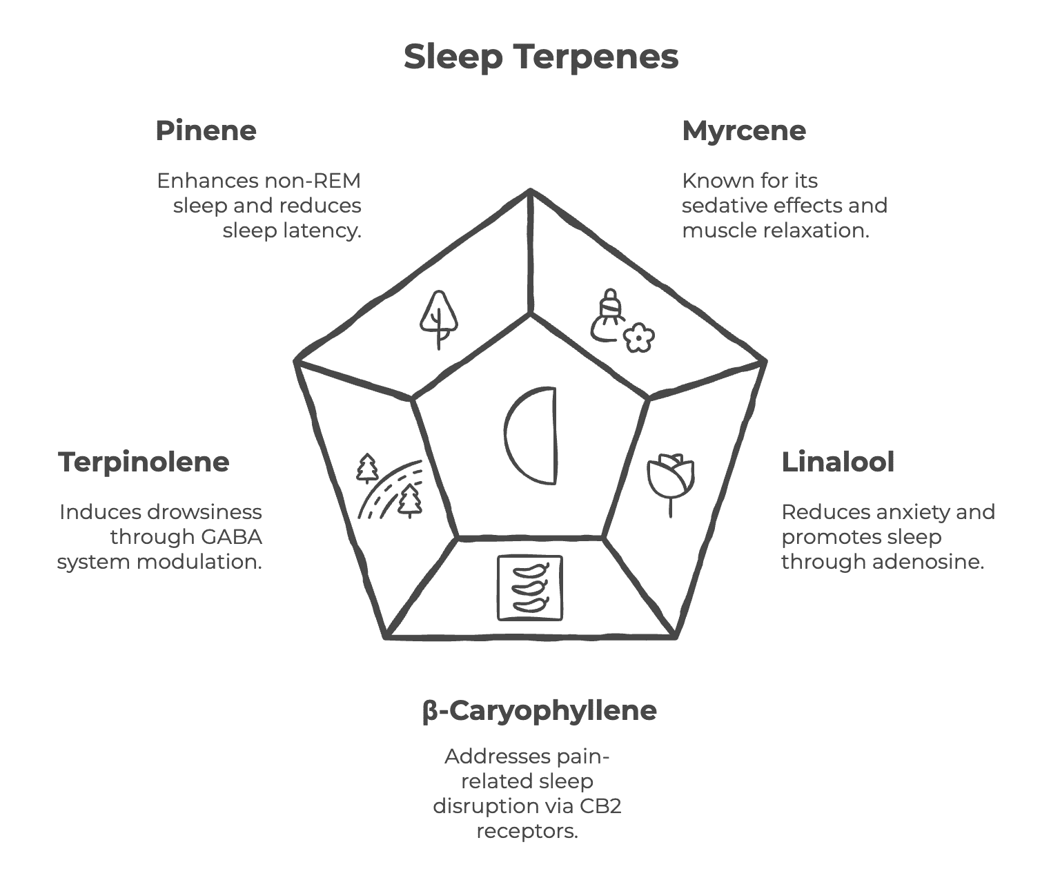 A visual summarizing information about the five best terpenes for sleep