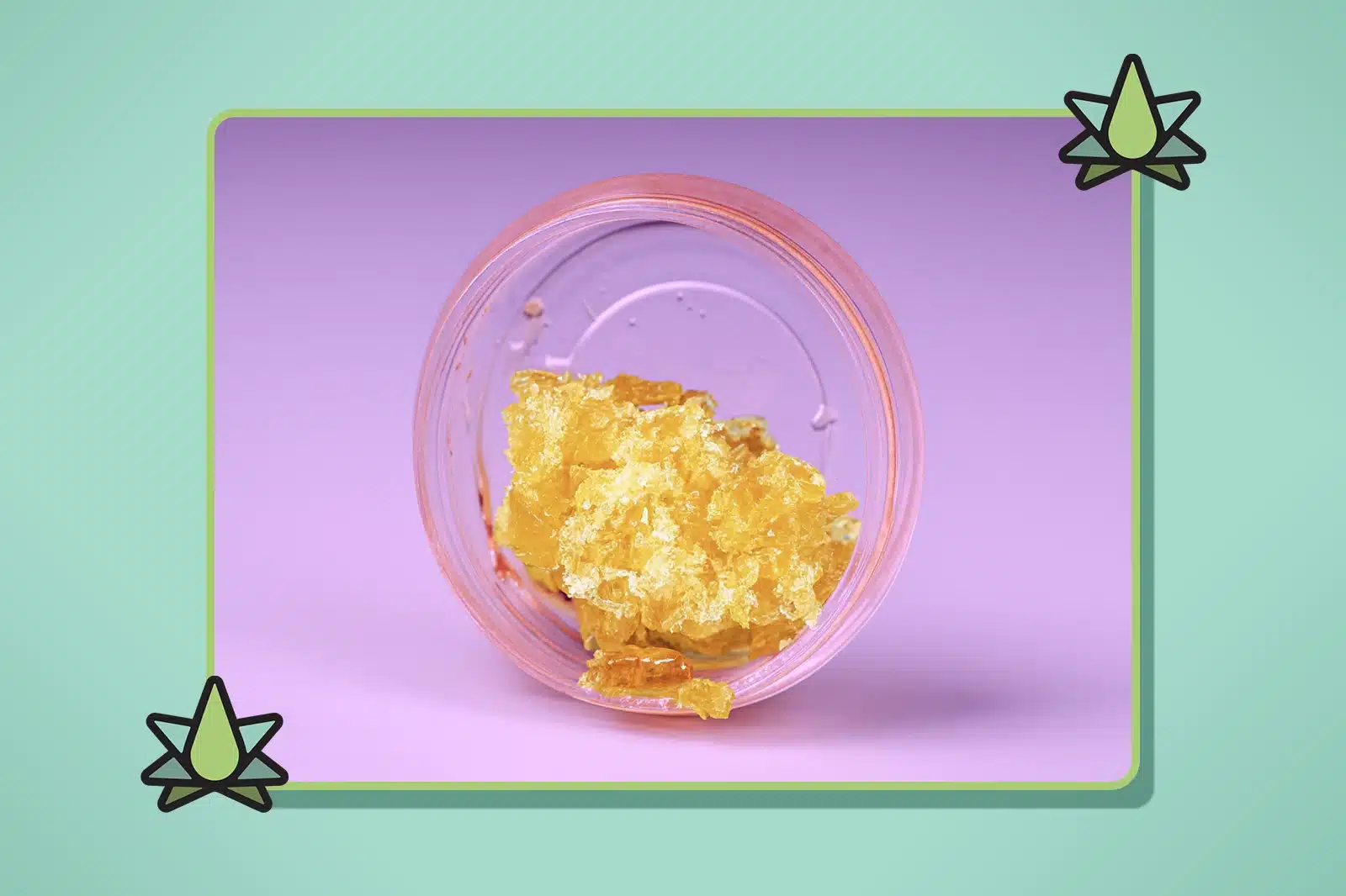 What is Terp Sugar - Featured Image
