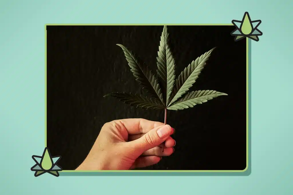 Best Terpenes for Concentrates - Supporting Image