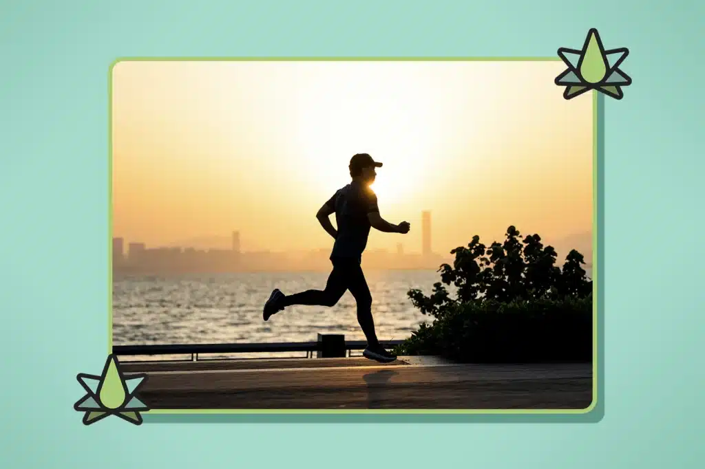 Energy-Boosting Terpenes - Featured Image