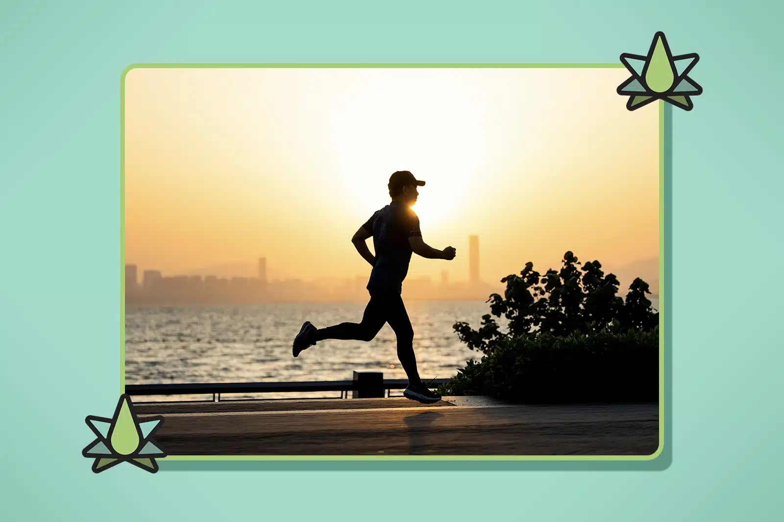 Energy-Boosting Terpenes - Featured Image