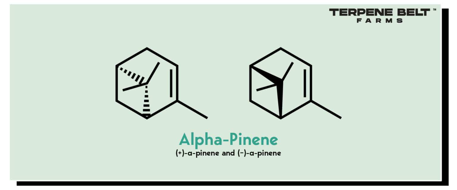 5 Energy-Boosting Terpenes: Product Development Guide