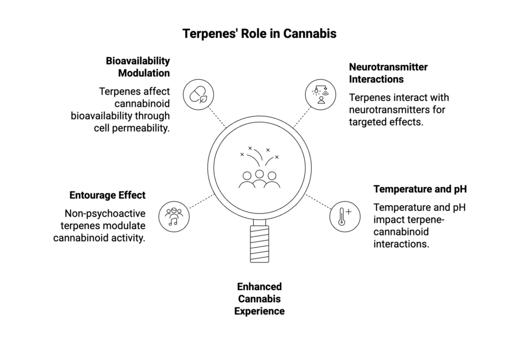 A visual discussing Terpene's Role in Cannabis