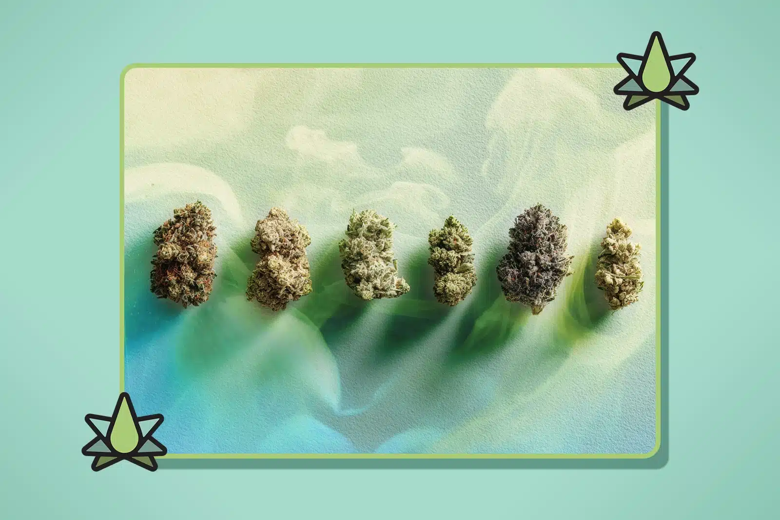 Gassiest Cannabis Strains for Product Development - Featured Image