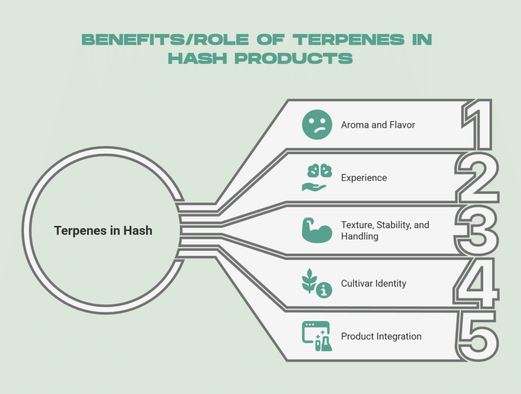 Hash Terpenes: B2B Application Guide for Concentrate Enhancement