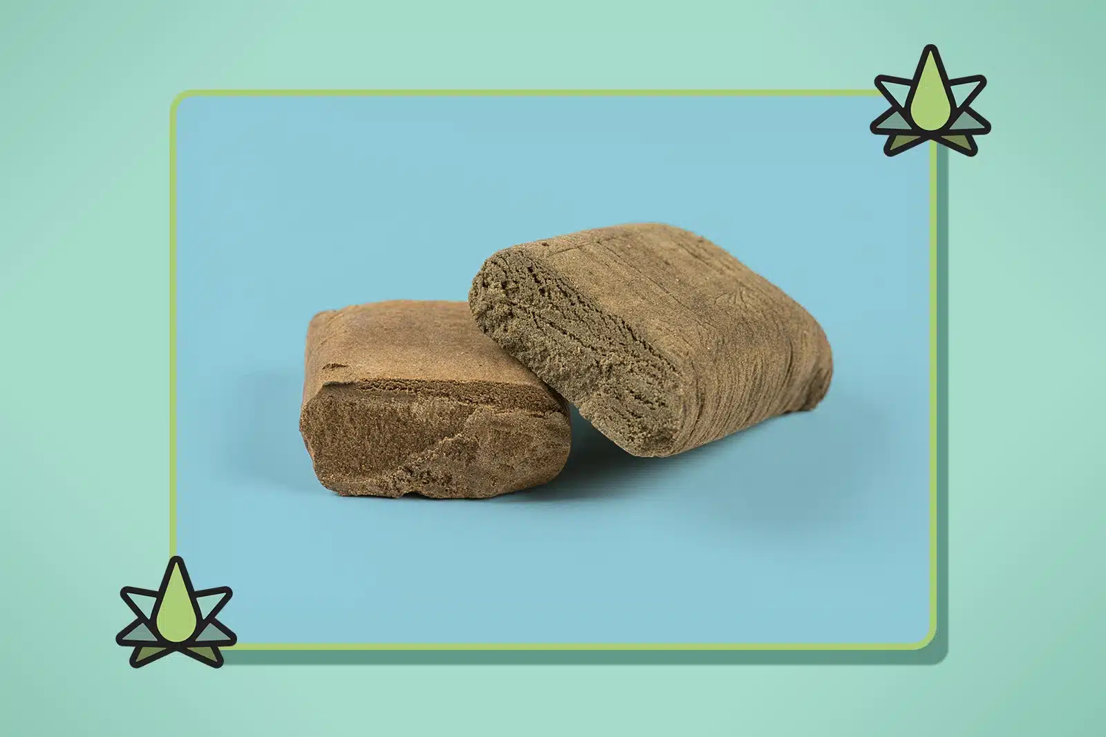 Hash Terpenes - Featured Image