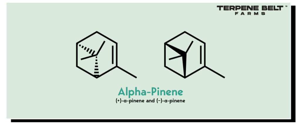 Pinene Molecular Composition