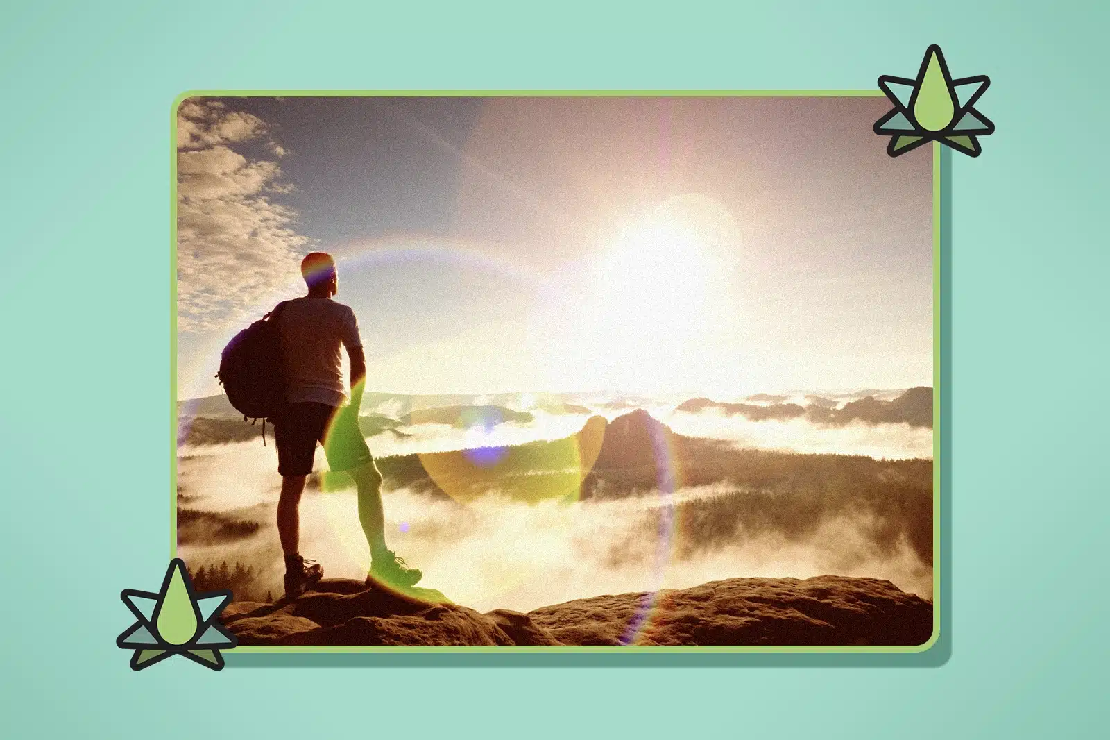 Best Terpenes for Energy and Focus - Featured Image