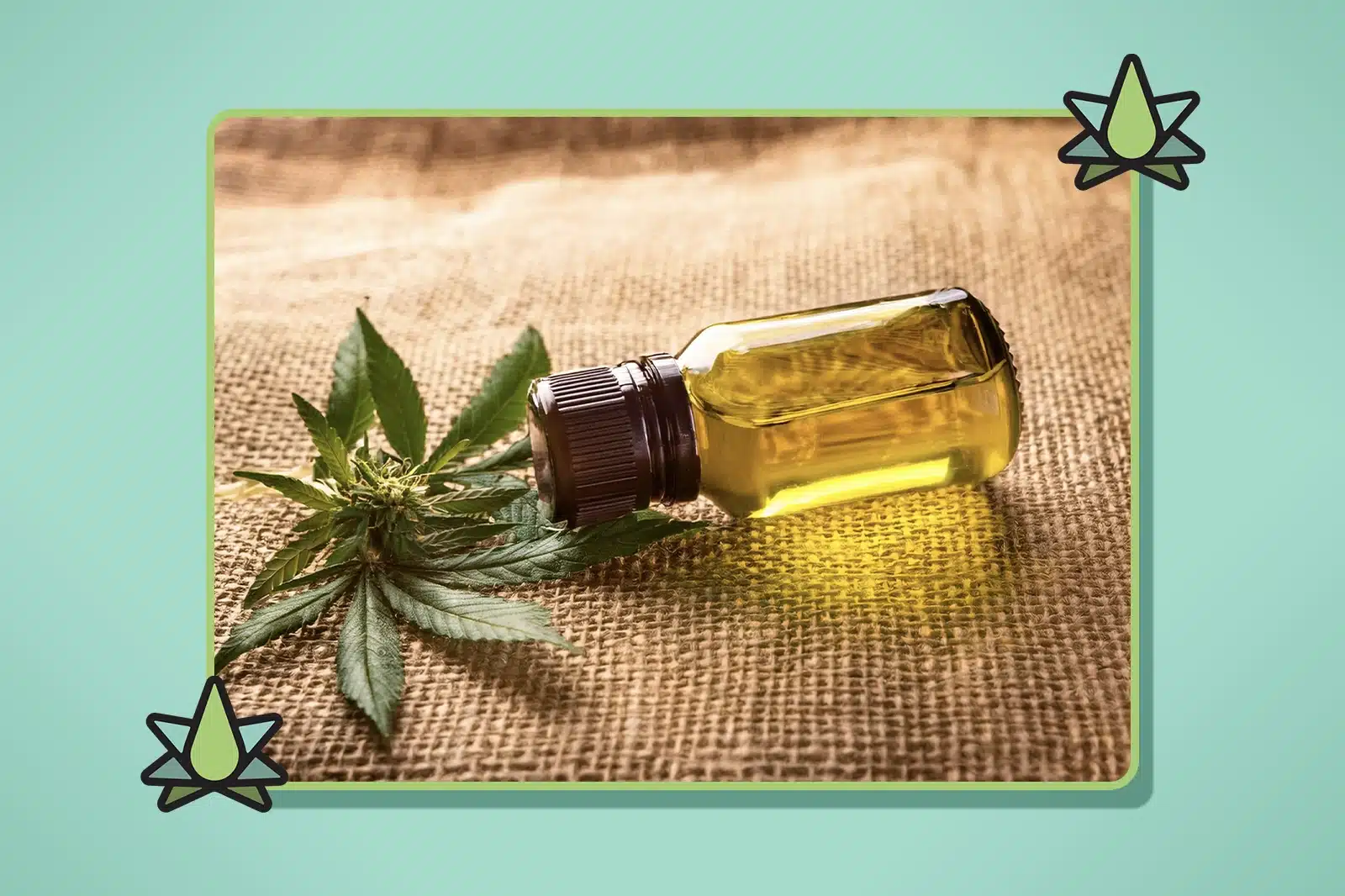 How to Make Hash & Hash Oil Taste Better - Featured Image