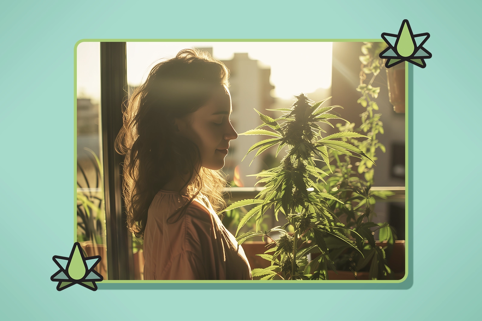 Best Terpenes for Relaxation - Featured Image