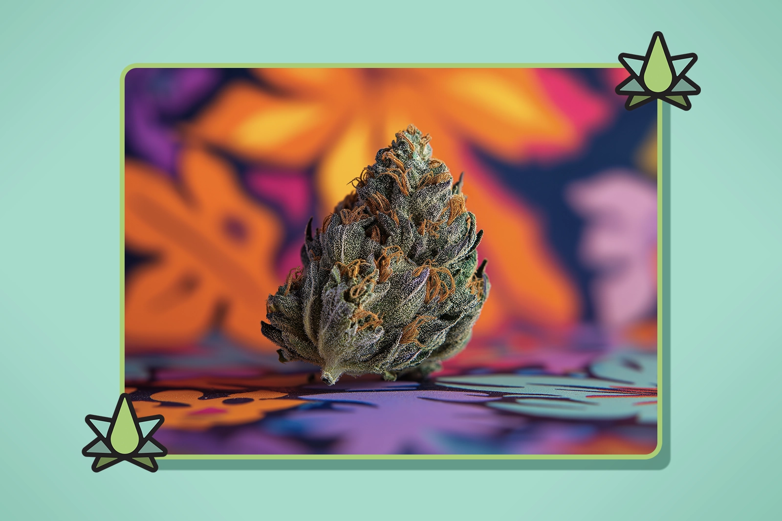 Flavonoids vs Terpenes - Featured Image