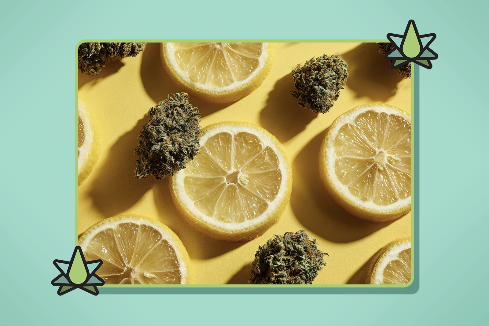 Limonene Terpene Profile - Featured Image