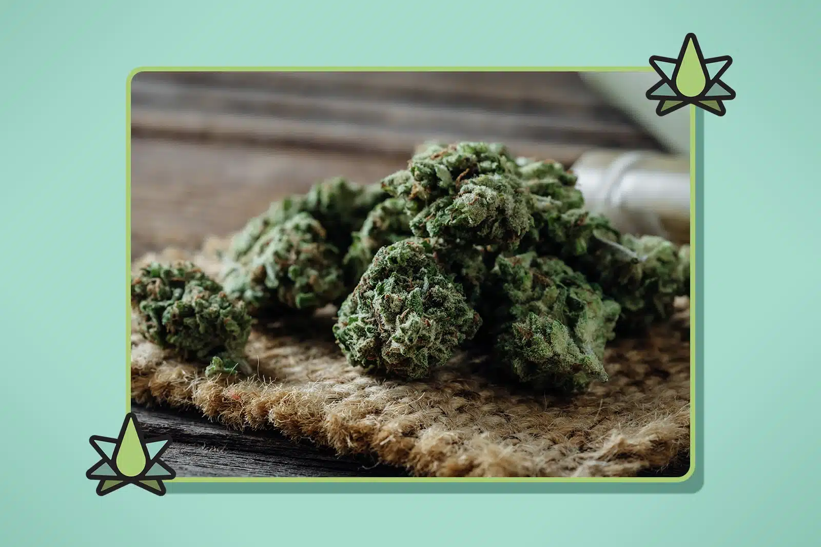 How to Maximize Trichome and Terpene Preservation - Featured Image