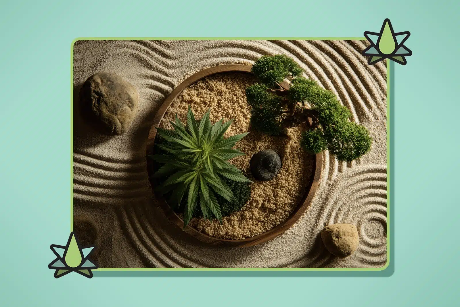 Terpene Therapeutics - Featured Image