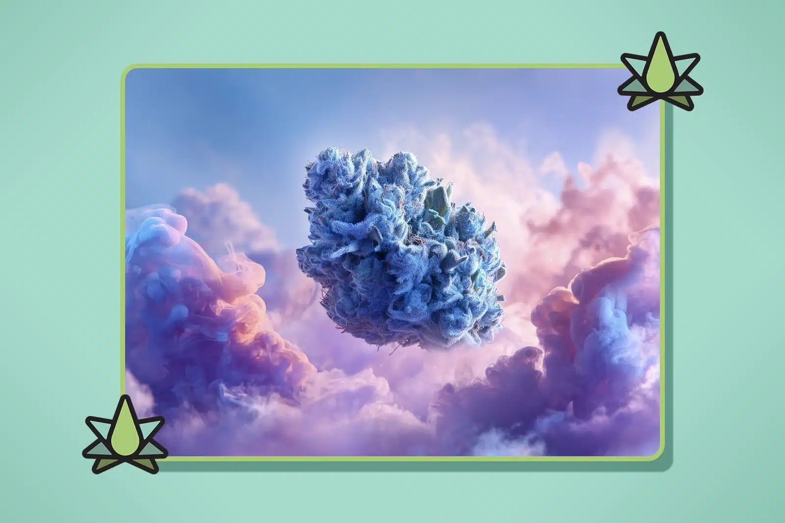 What Terpenes Are in Blue Dream - Featured Image