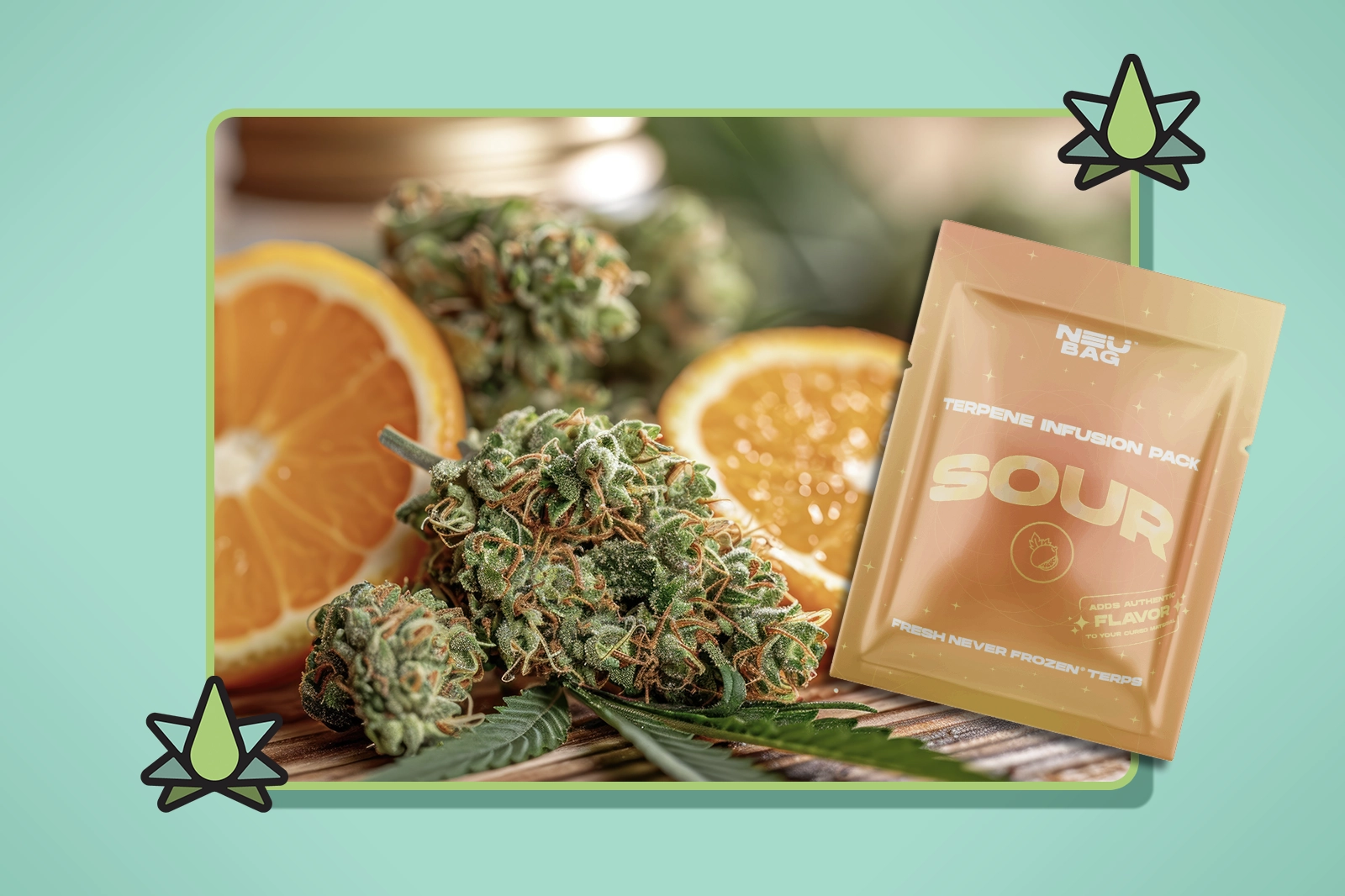 Best Terpenes for Vape Cartridges | Terpene Belt Farms Best Terpenes for Vape Cartridges | Terpene Belt Farms