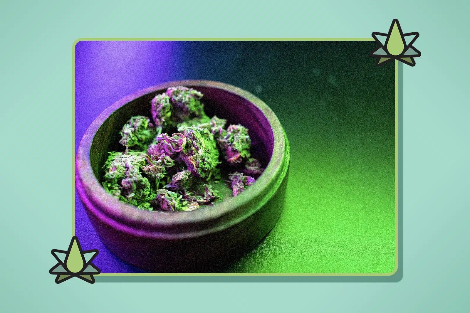 Do Terpenes Determine Indica or Sativa - Featured Image