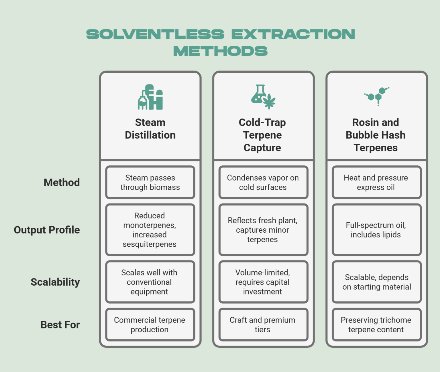 Solventless Terpene Extraction: Purity Guide