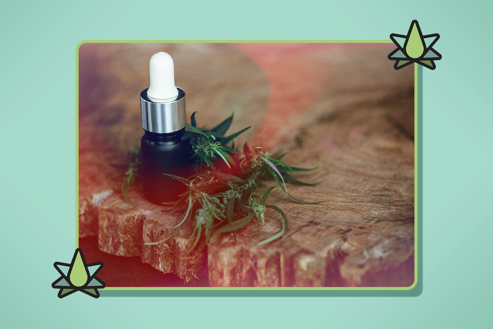 Best Terpenes for Euphoria - Featured Image