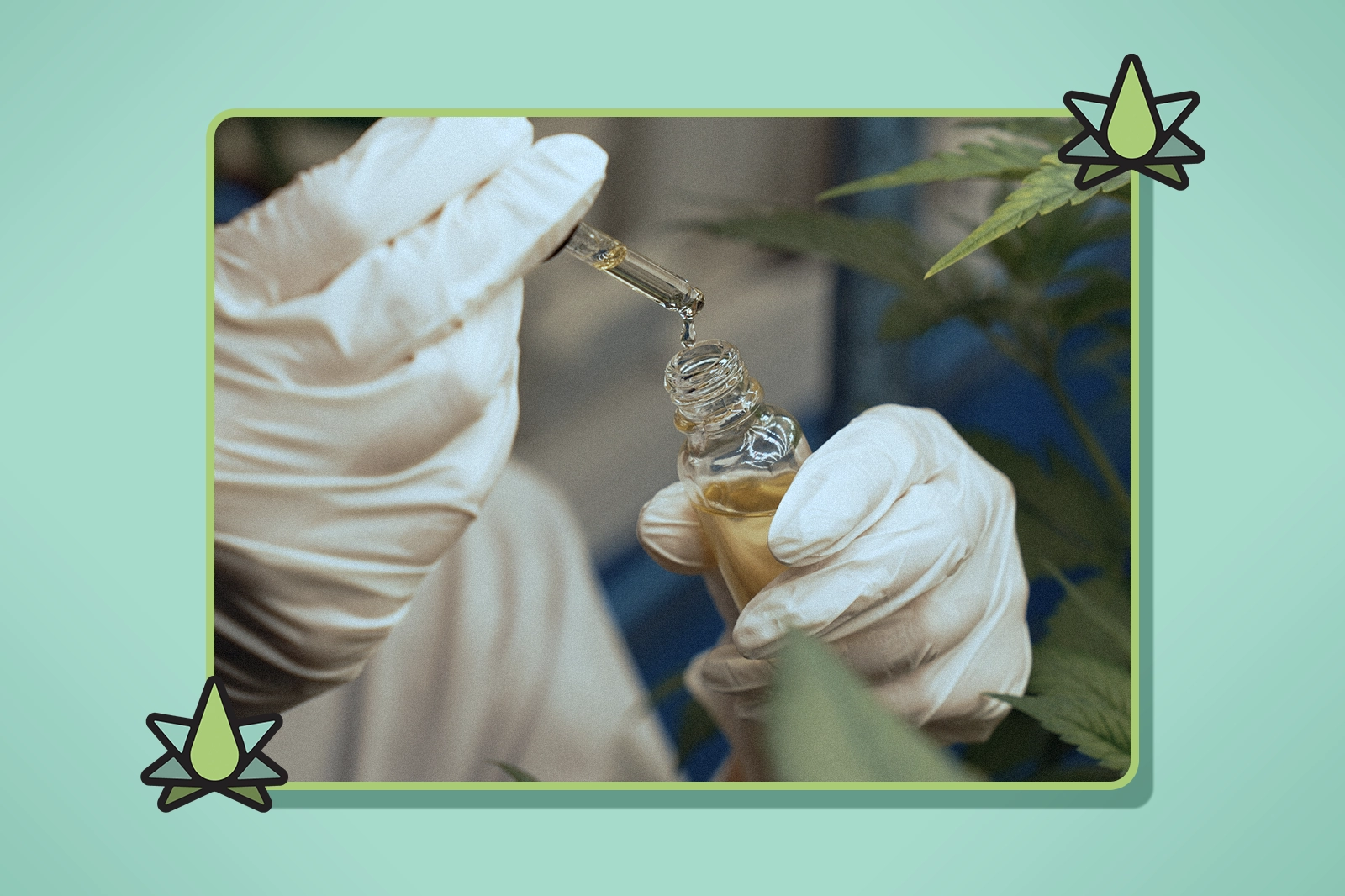 Organic vs Synthetic Terpenes - Featured Image