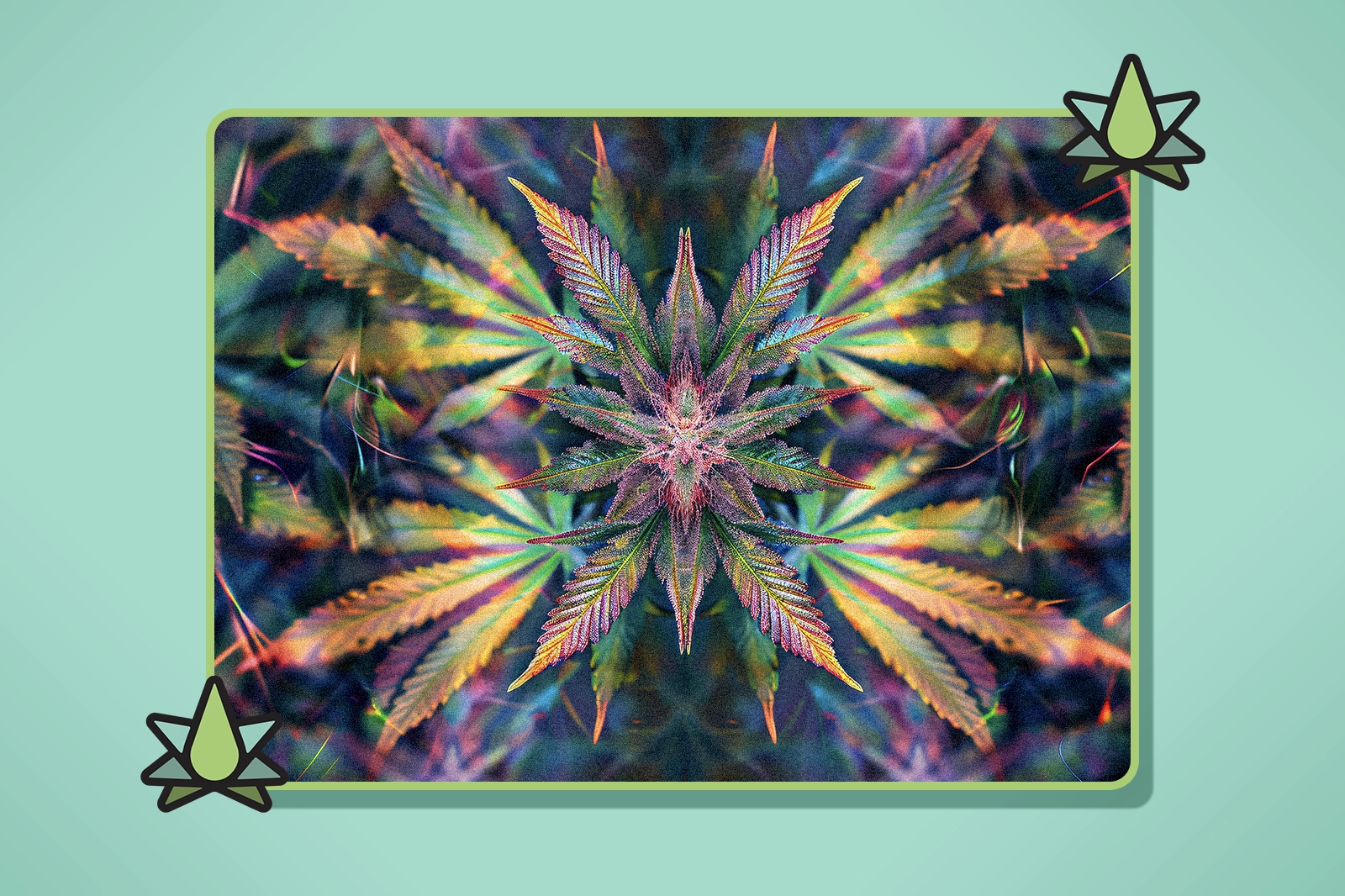 Custom Terpene Blends - Featured Image