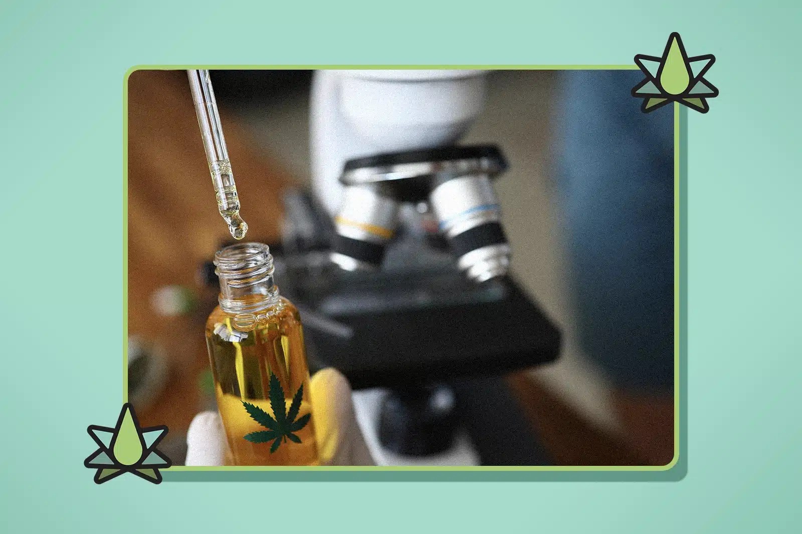 Terpenes & the Entourage Effect - Featured Image