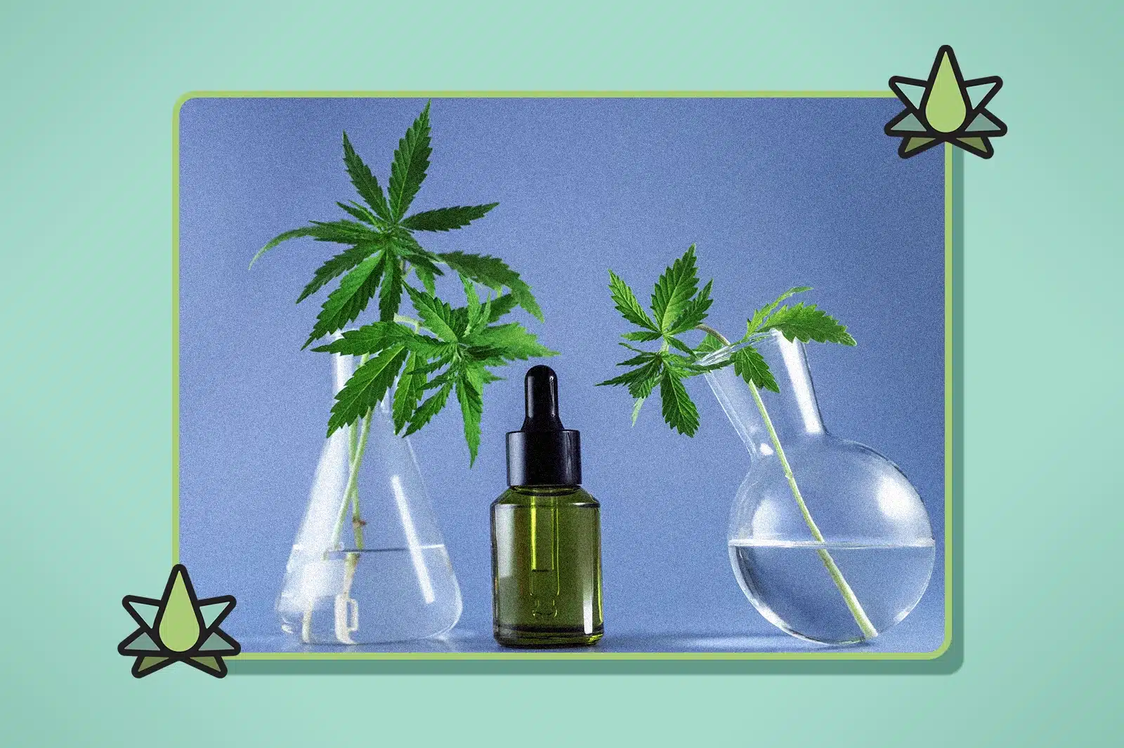 Terpenoid vs Terpene - Featured Image