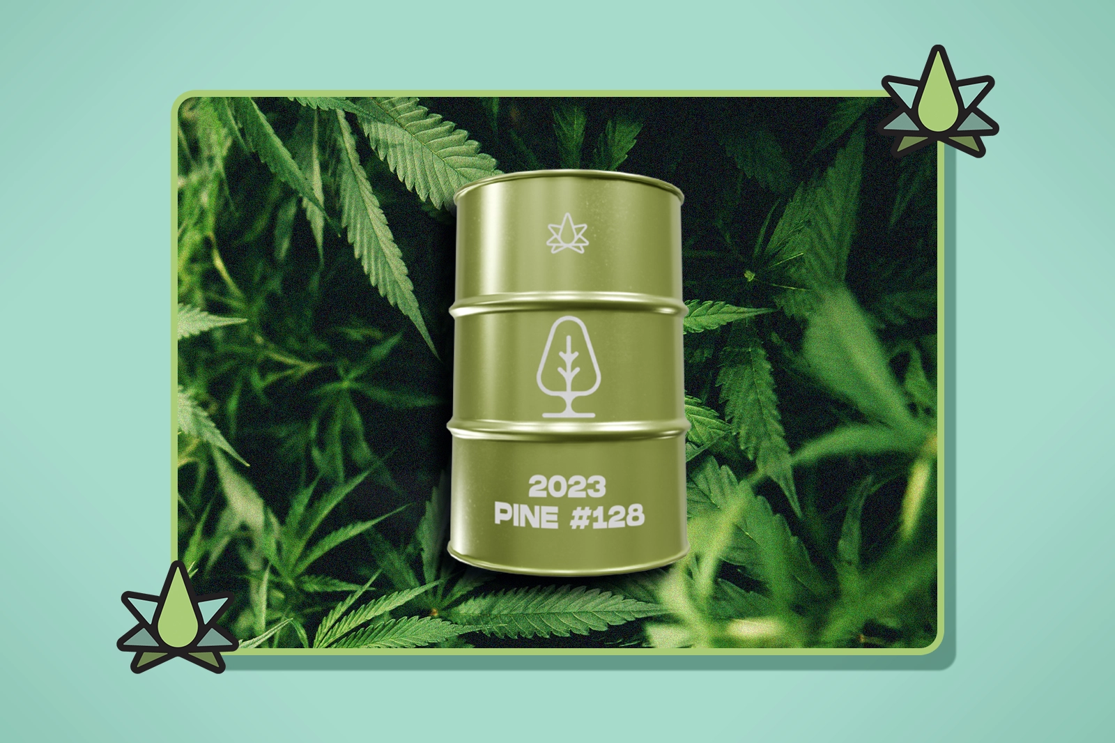 Jack Herer Strain Terpene Profile - Featured Image