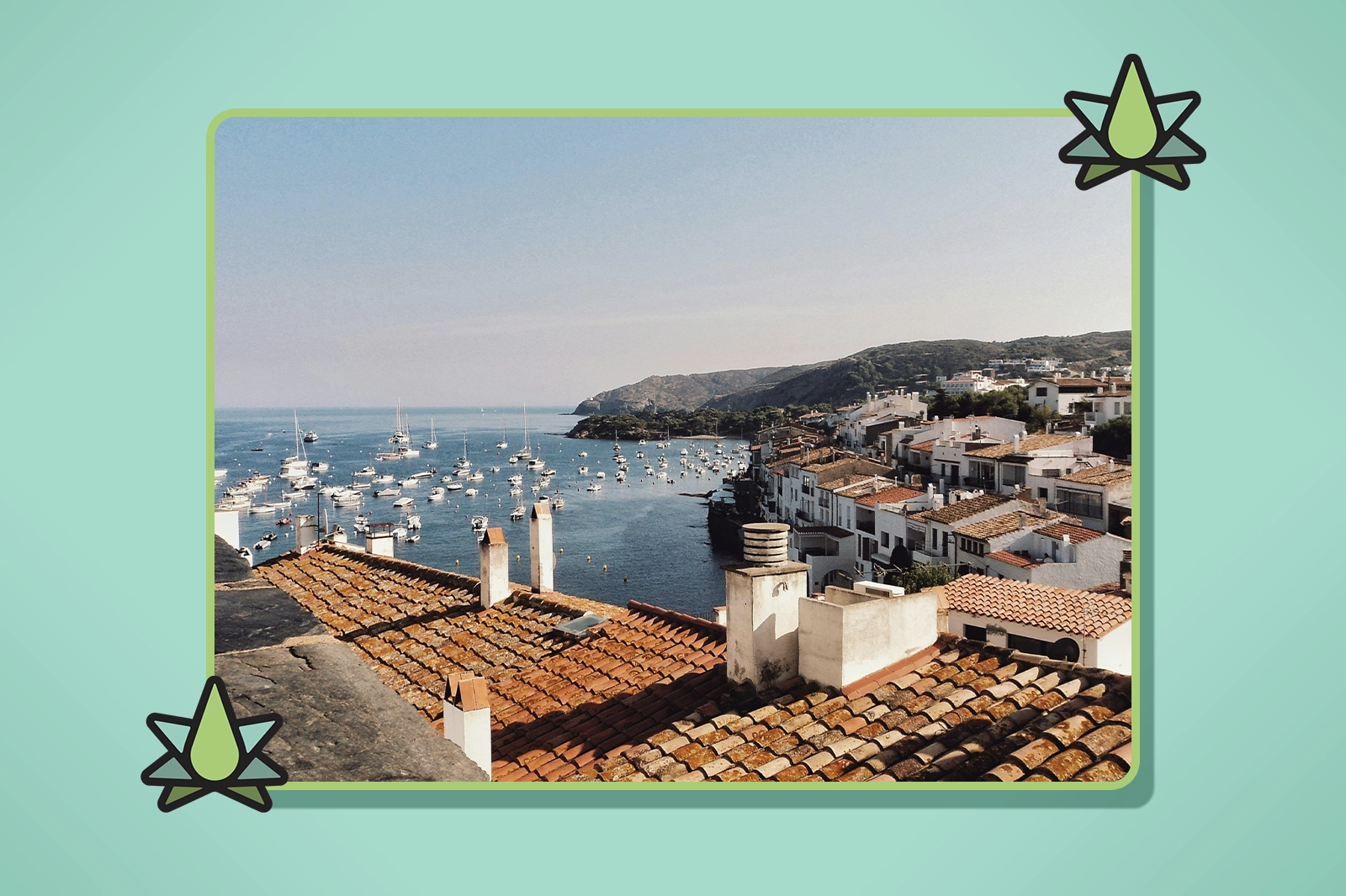 Terpene Shops in Spain - Featured Image